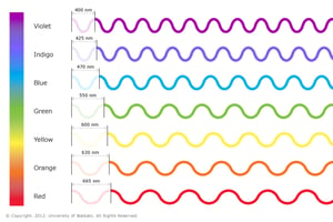 LED-mask-wavelengths