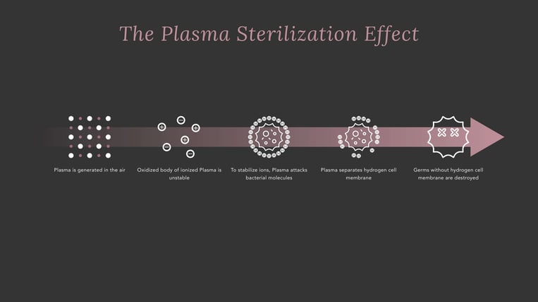 Plasma Sterilization Effect