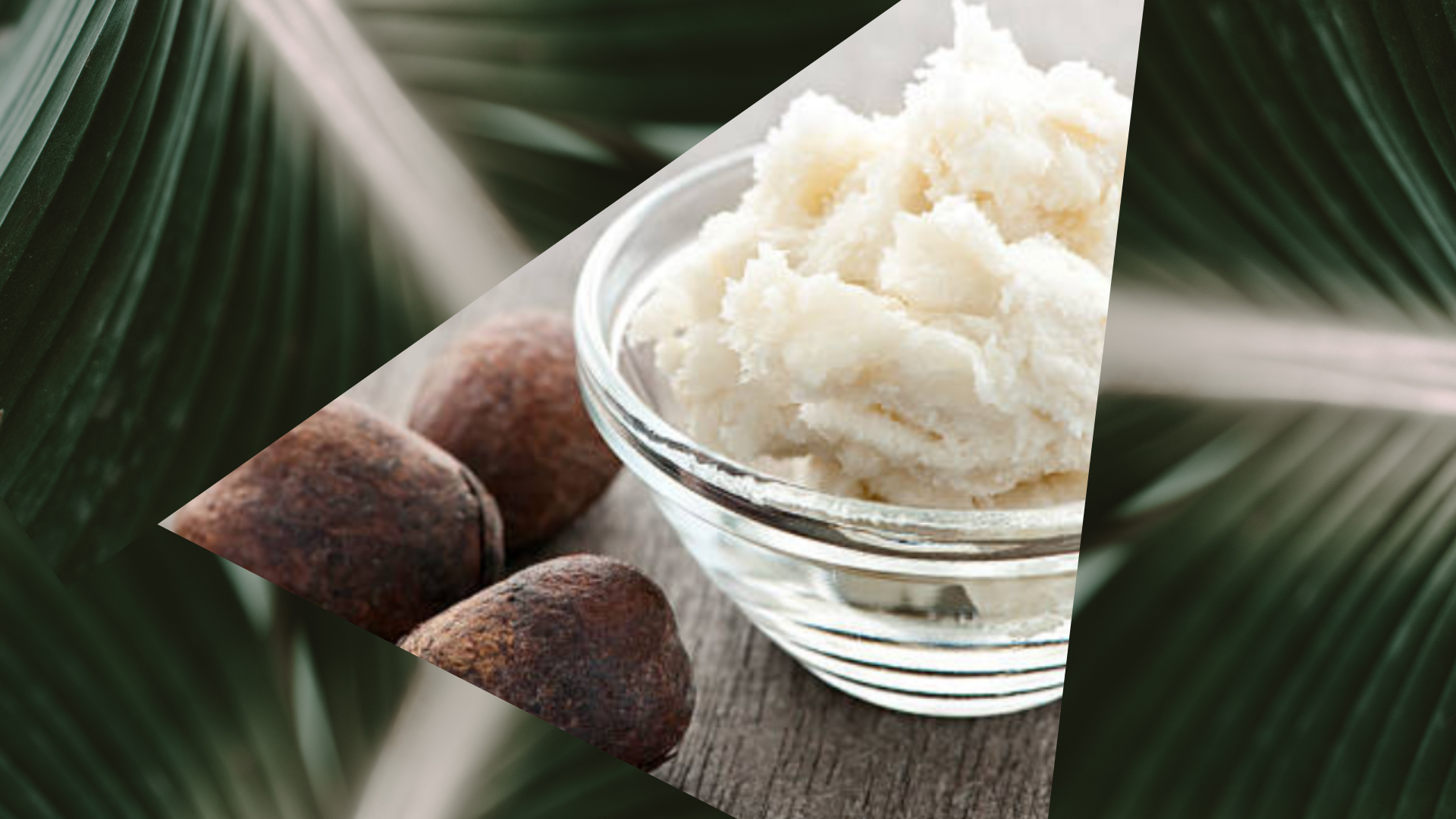 Shea Butter for Younger Looking Skin and Healthier Hair
