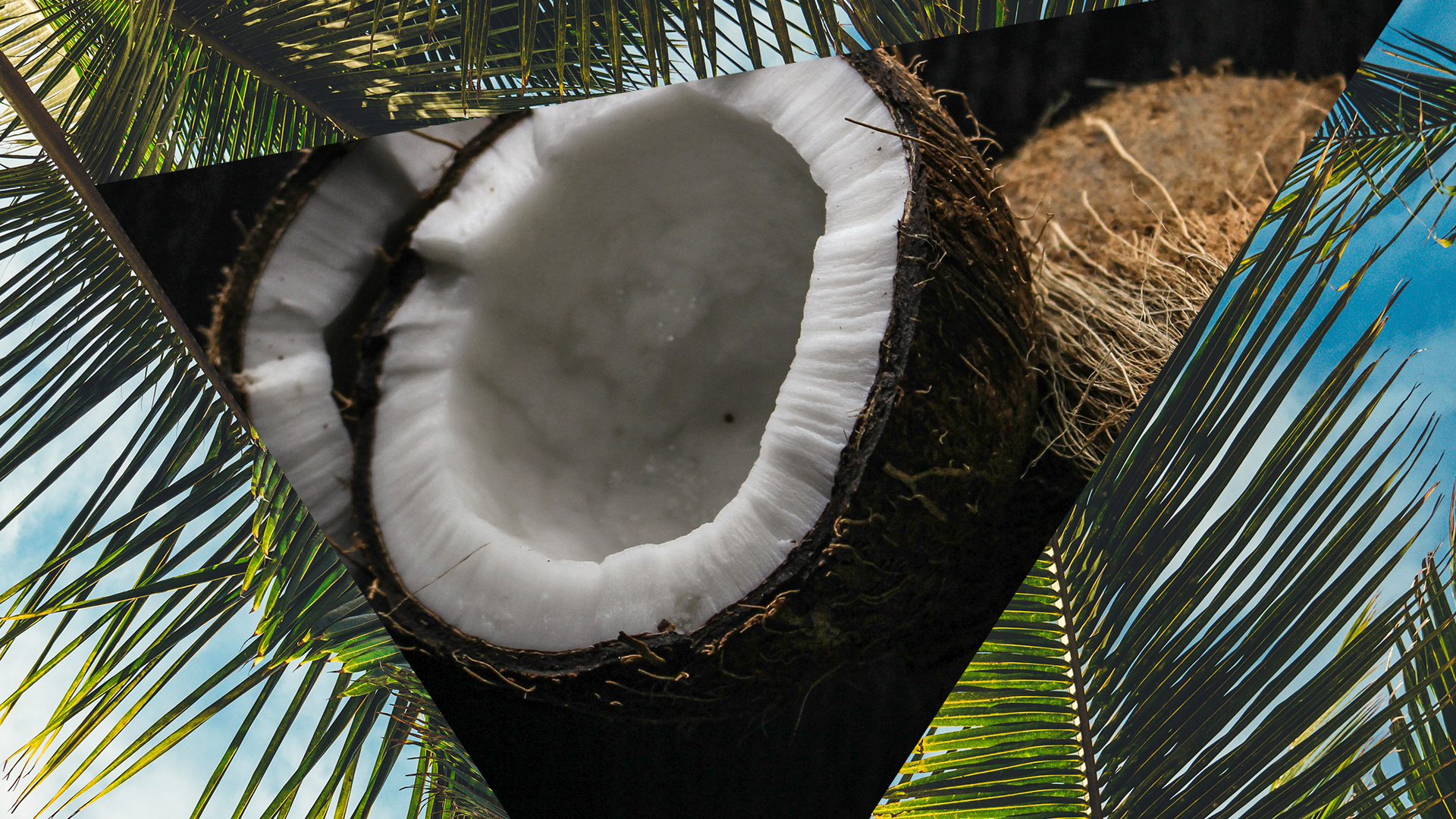 The Amazing Beauty Benefits of Coconut Oil